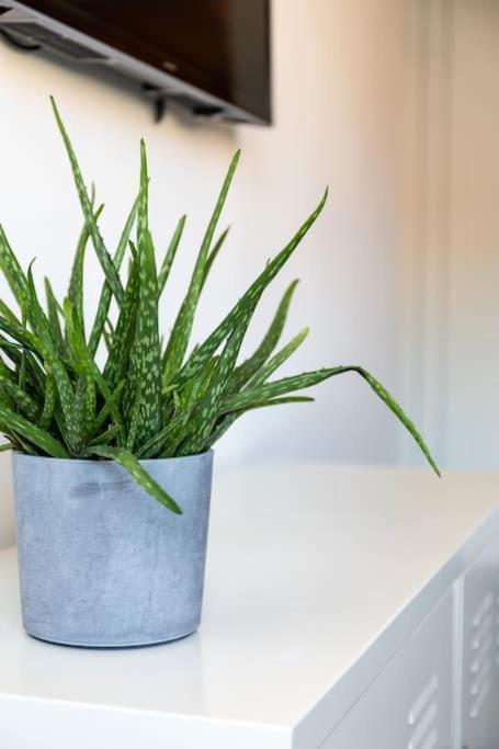 Appartamento Apartamento Sanxenxo Centro Esterno foto
